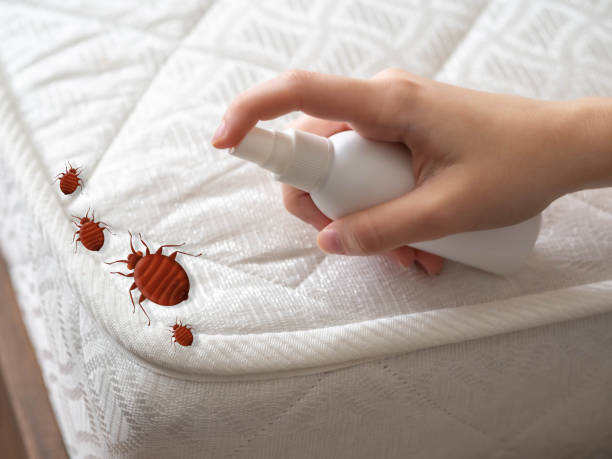 Best Best Pest Control Companies  in South Congaree, SC